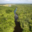 The Maya Forest Corridor is a 2.5 mile-wide stretch of forest, wetlands and savanna that connects the jungles of southern Belize with forests in the north and in Guatemala and Mexico. Together, this Selva Maya is the largest tropical forest north of the Amazon. Credit: Kevin Quischan