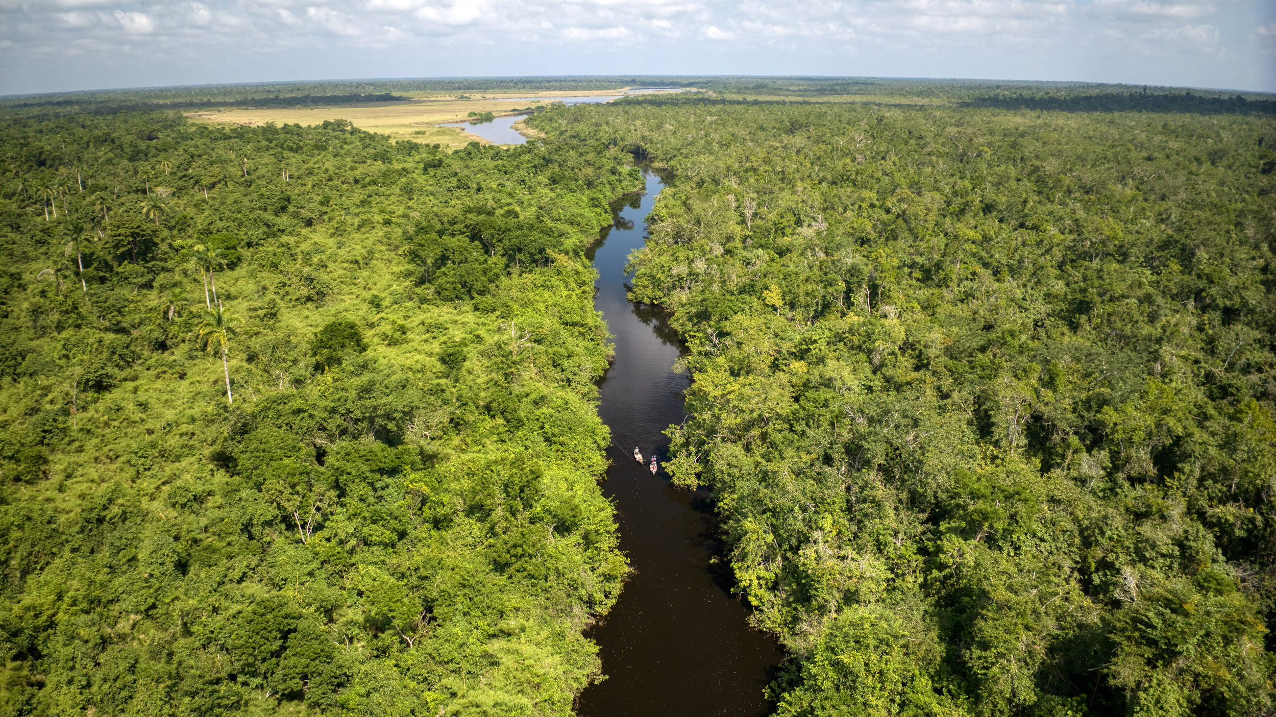 The Maya Forest Corridor is a 2.5 mile-wide stretch of forest, wetlands and savanna that connects the jungles of southern Belize with forests in the north and in Guatemala and Mexico. Together, this Selva Maya is the largest tropical forest north of the Amazon. Credit: Kevin Quischan