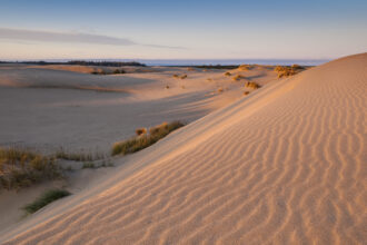 Sprawling dunes line the Oregon coastline. Credit: VWPics/Universal Images Group via Getty Images