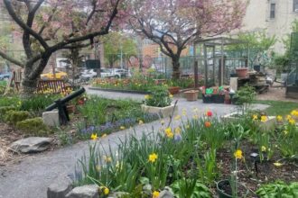 The Pleasant Village Community Garden, at Pleasant Avenue between 118th & 119th Streets in East Harlem, New York City. Credit: Kim Yim