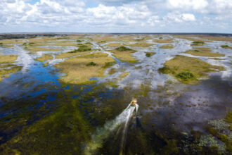 An airboat is seen hovering over wetland in Everglades National Park, Florida. Credit: Chandan Khanna/AFP via Getty Images