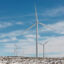 A cluster of wind turbines near Wilton, N.D. Credit: Dan Koeck/The Washington Post via Getty Images
