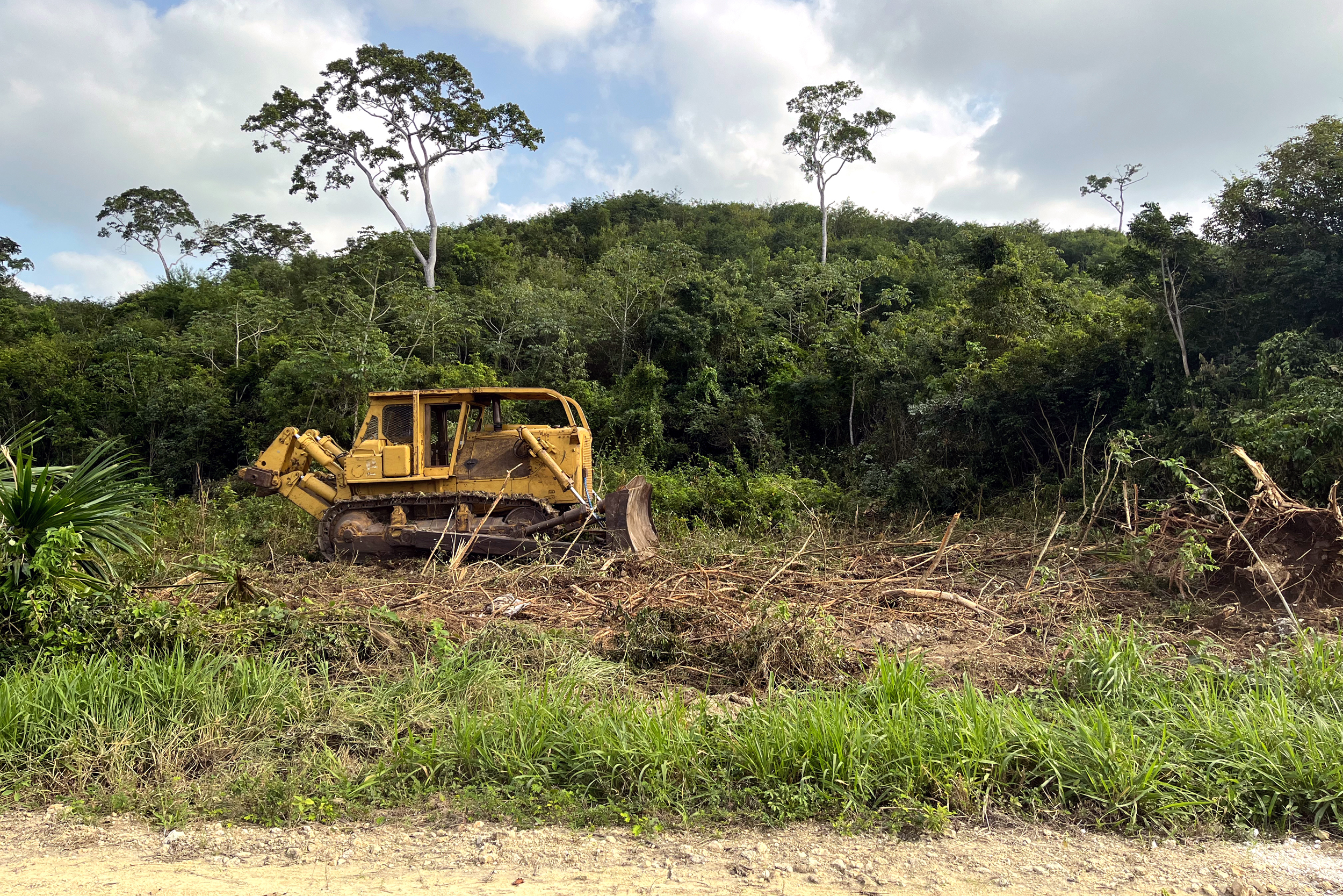 A bulldozer sits on a Mennonite farm at the edge of one of Belize's largest patches of protected forest. Credit: Nicholas Kusnetz/Inside Climate News