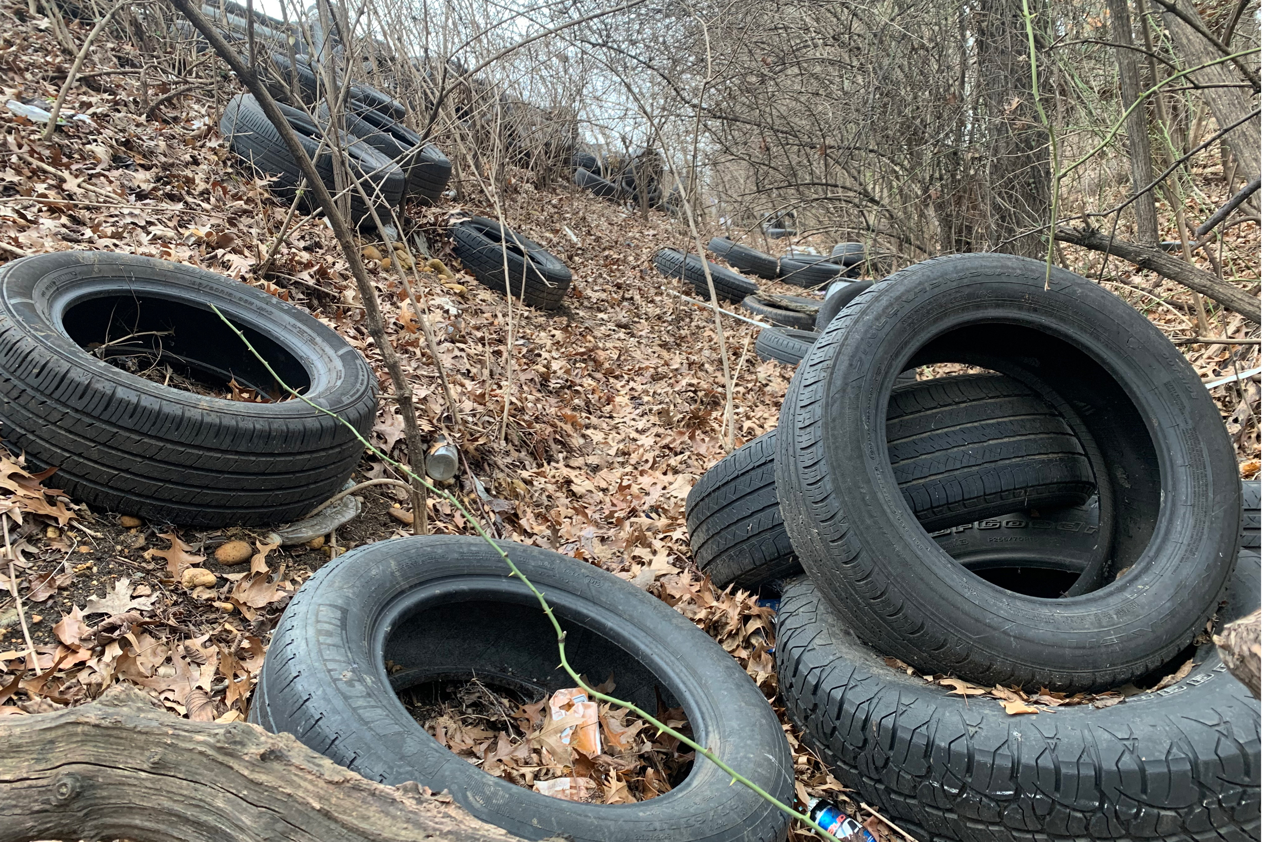 A pile of tires sits off the northbound side of Interstate 295 in D.C., just past Pennsylvania Avenue SE. About 100 of them are sprawled around the woods at the spot. Credit: Kayla Benjamin/The Washington Informer