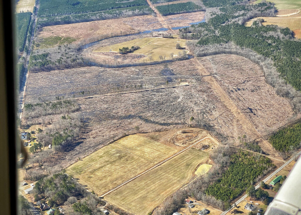 Environmental advocates say forest clearcutting like this in northeast North Carolina have become more common amid a wood pellet industry boom across the South. Credit: Tom Brennan