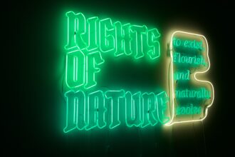 Andrea Bowers, Rights of Nature I, 2022, neon. Credit: Katie Surma/Inside Climate News.