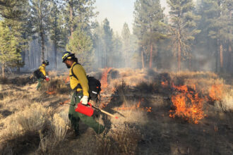 A broadcast burn on The Nature Conservancy's Sycan Marsh Preserve in southern Oregon in 2017. Scientists found that prescribed burning helped parts of the preserve survive the enormous Bootleg fire in 2021. Credit: Amanda Rau