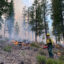 U.S. Forest Service firefighters conduct prescribed burning within Oregon's Gilchrist State Forest in May 2023. Credit: U.S. Forest Service
